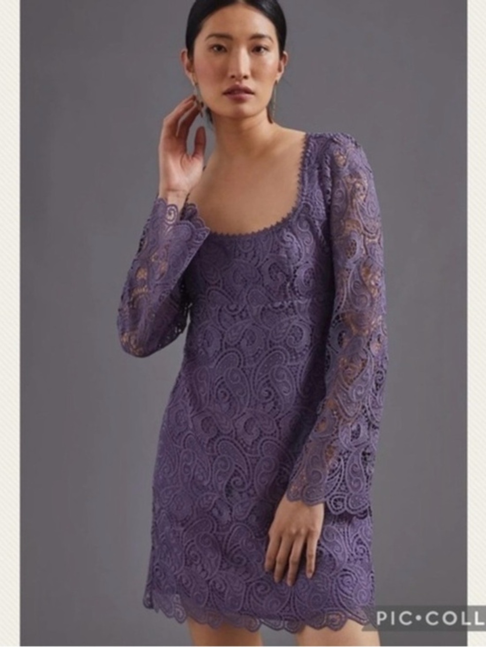 Anthropologie Maeve Embroidered Lace Mini Dress (Price Firm)